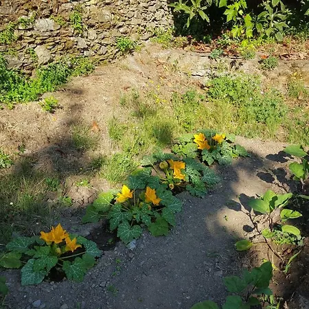 Apartman Club In Corsica A