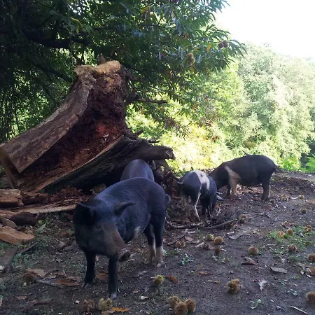 Apartamento Club In Corsica A Porri