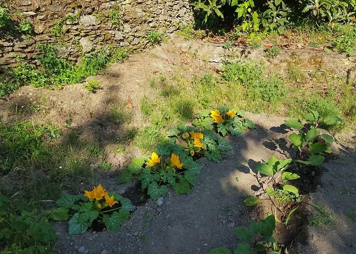 דירה Club In Corsica A