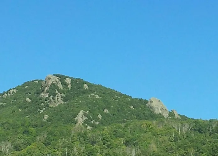 Club In Corsica A דירה